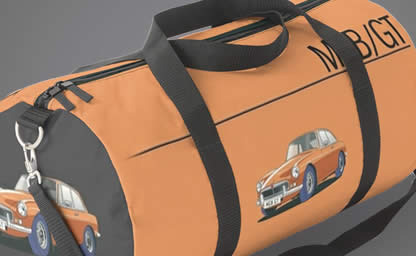 Car Luggage and Bags